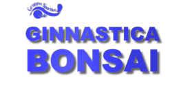 secondo quadrimestre bonsai